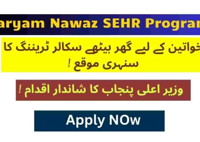 Skill Up at Your Doorstep: The Ultimate Guide to the SEHR Program Punjab