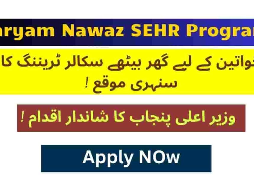 Skill Up at Your Doorstep: The Ultimate Guide to the SEHR Program Punjab