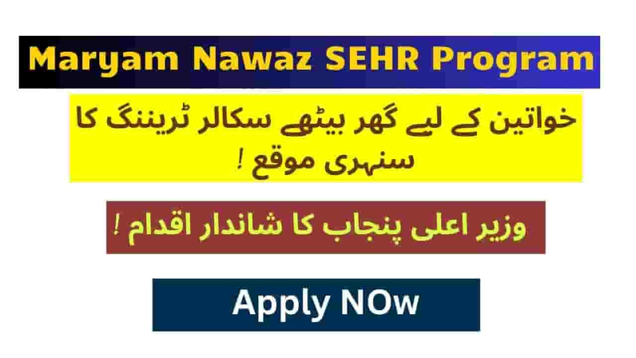 Skill Up at Your Doorstep: The Ultimate Guide to the SEHR Program Punjab